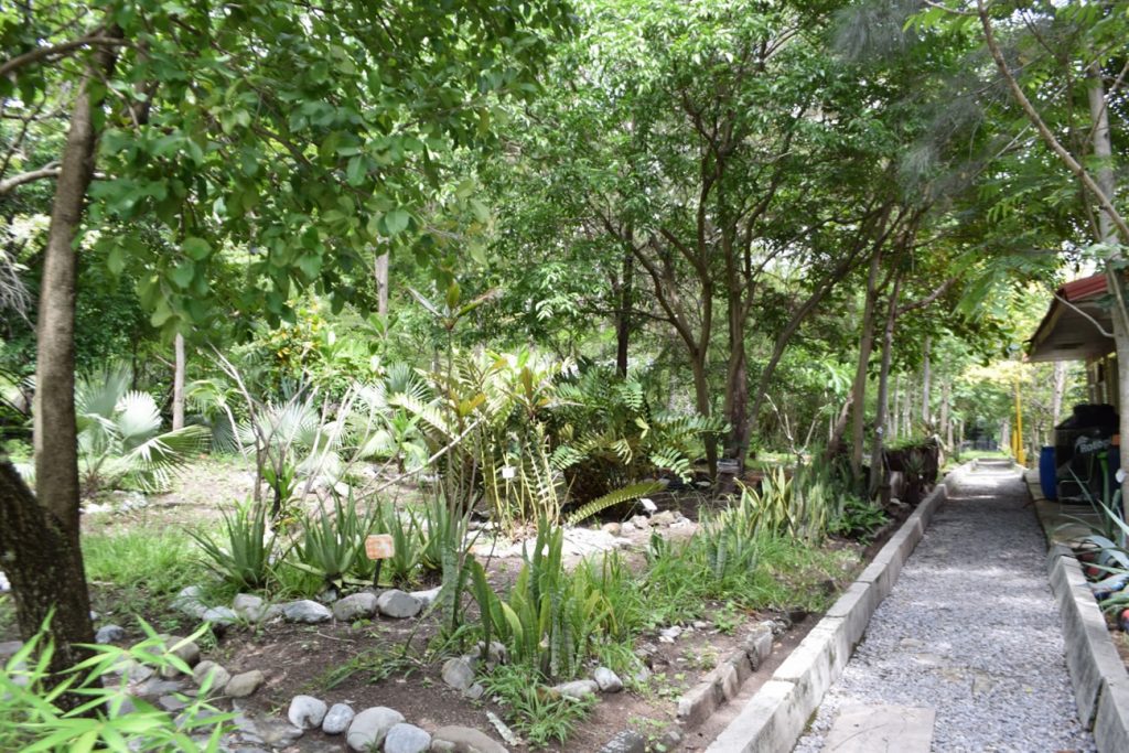 Jardín Etnobiológico UAGro