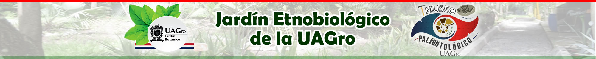 Jardin Etnobiológico de la UAGro